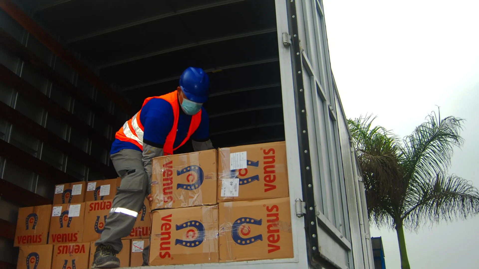 Transporte de Carga